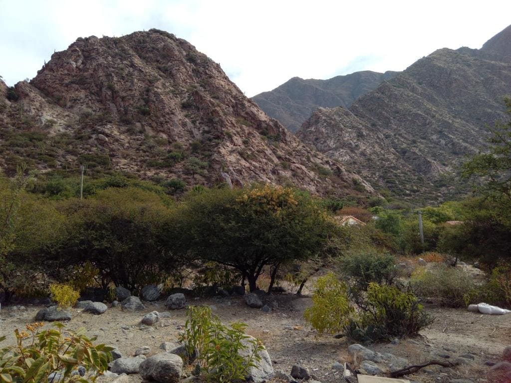 Crisol. - Vista 4