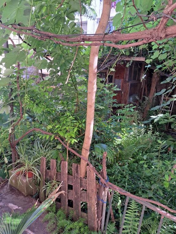 Bed & Breakfast Delta Inn - Río Tigre - عرض 2