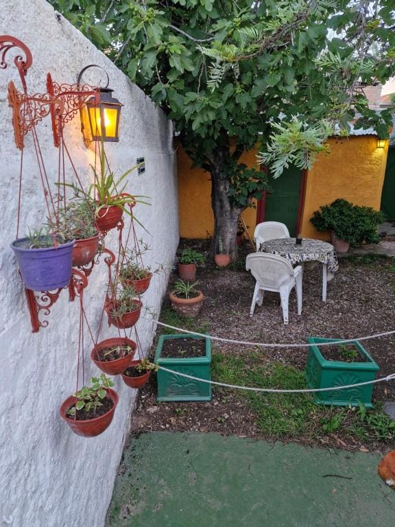 El Caminante Hostel - View 7