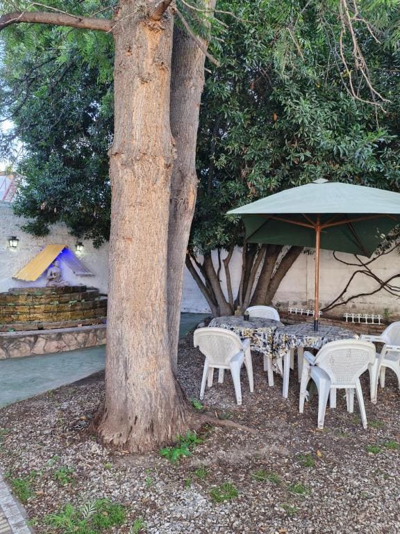 El Caminante Hostel - View 3