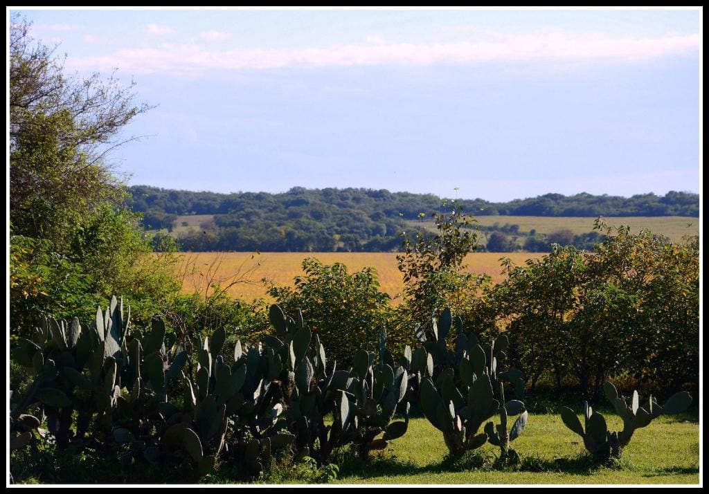 Estancia el Cimarrón - Vista 2