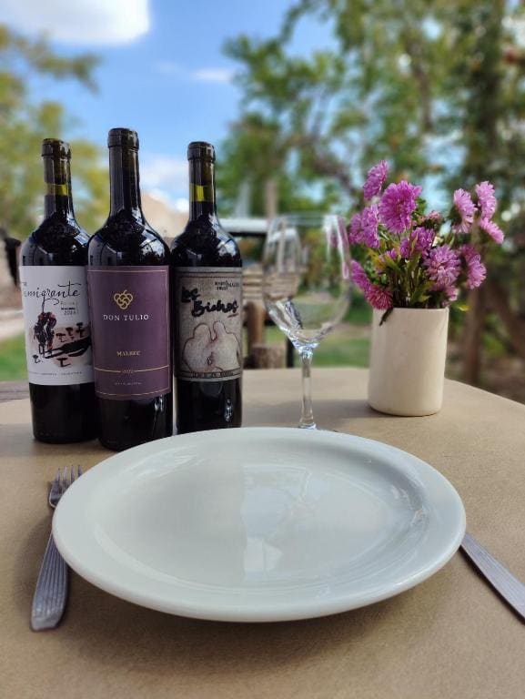 Entre racimos, glamping entre viñedos en bodega - View 5