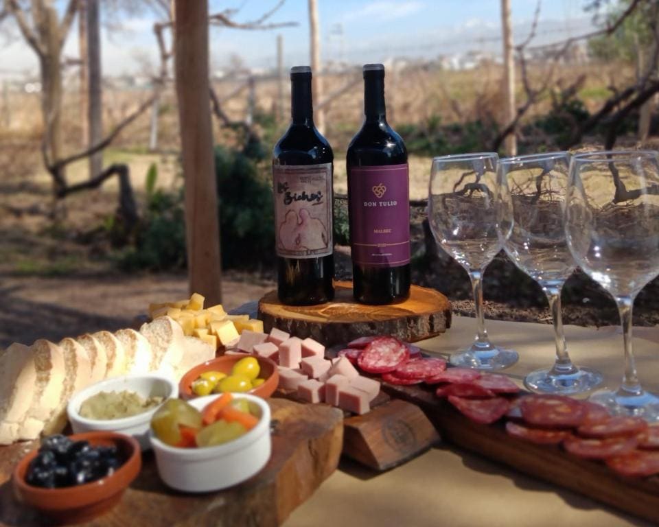 Entre racimos, glamping entre viñedos en bodega - View 2