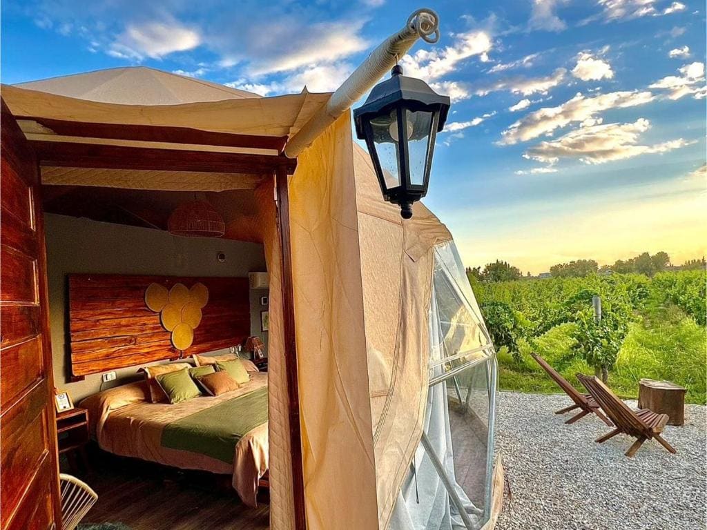 Entre racimos, glamping entre viñedos en bodega - Main view