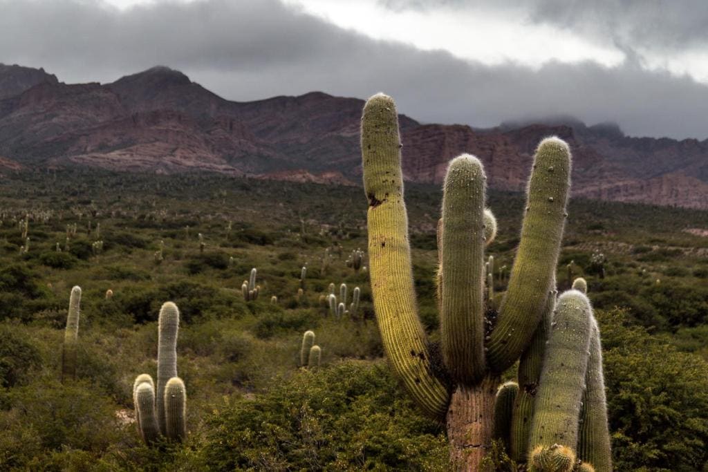 Estancia Banda Grande - horse & hiking safaris - View 7