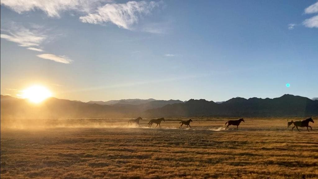 Estancia Banda Grande - horse & hiking safaris - View 6