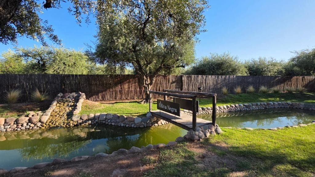 OlivaNegra Resort - Oliva1 - Weergave 2