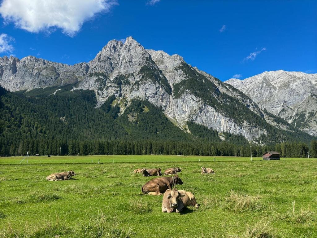 Ahrnerhof - View 2