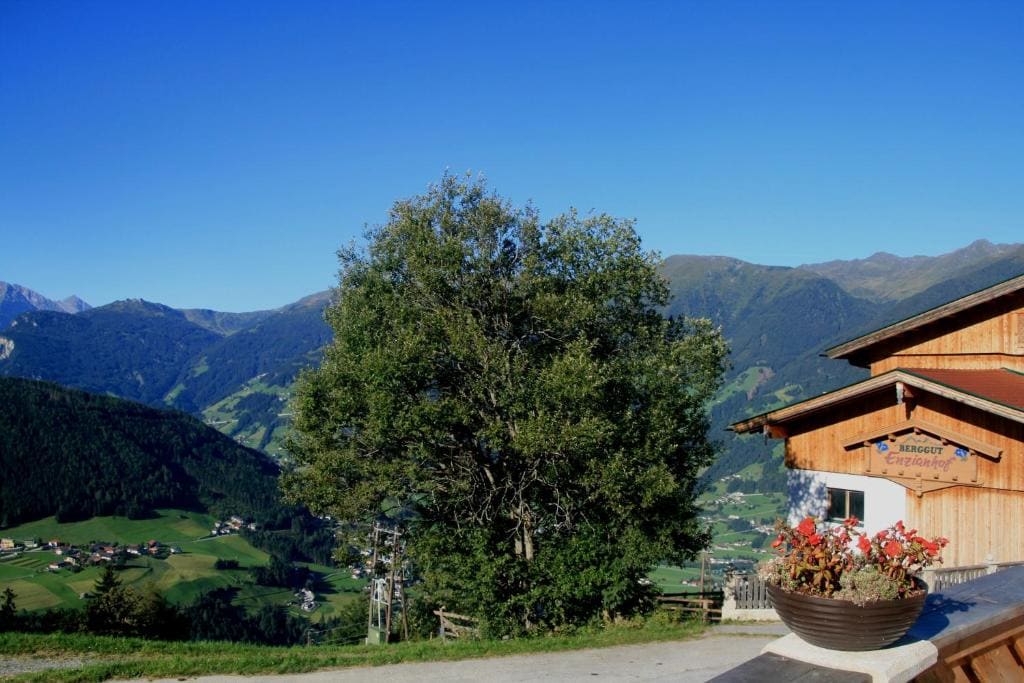Alpengasthof Enzianhof - View 2