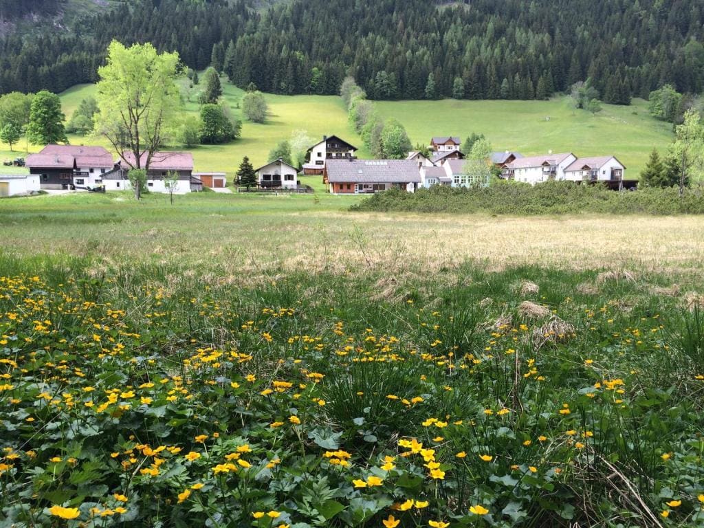 Alpengasthof Grobbauer - Main view