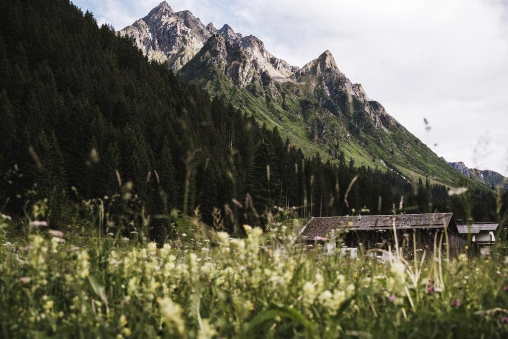 Heimspitze - Alpenhotel SKI-IN & Wirtshaus - Main view