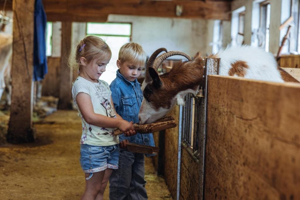 Familienwanderhof Eggeler - Tampilan 5