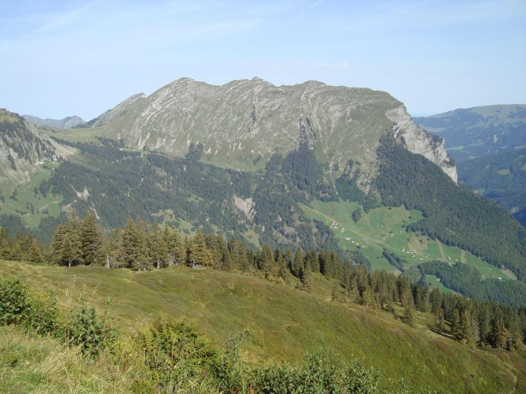 Ferienbauernhof Beer - View 5