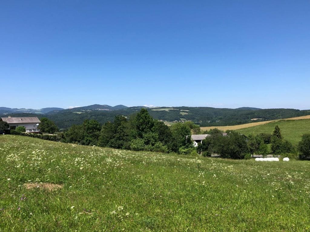 Gasthof Koller - View 5