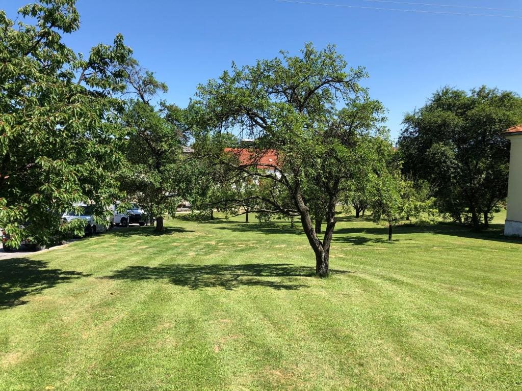 Gasthof Koller - View 6