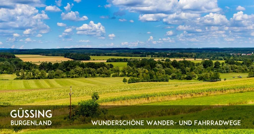 Gasthof Silberner Hirsch - View 5