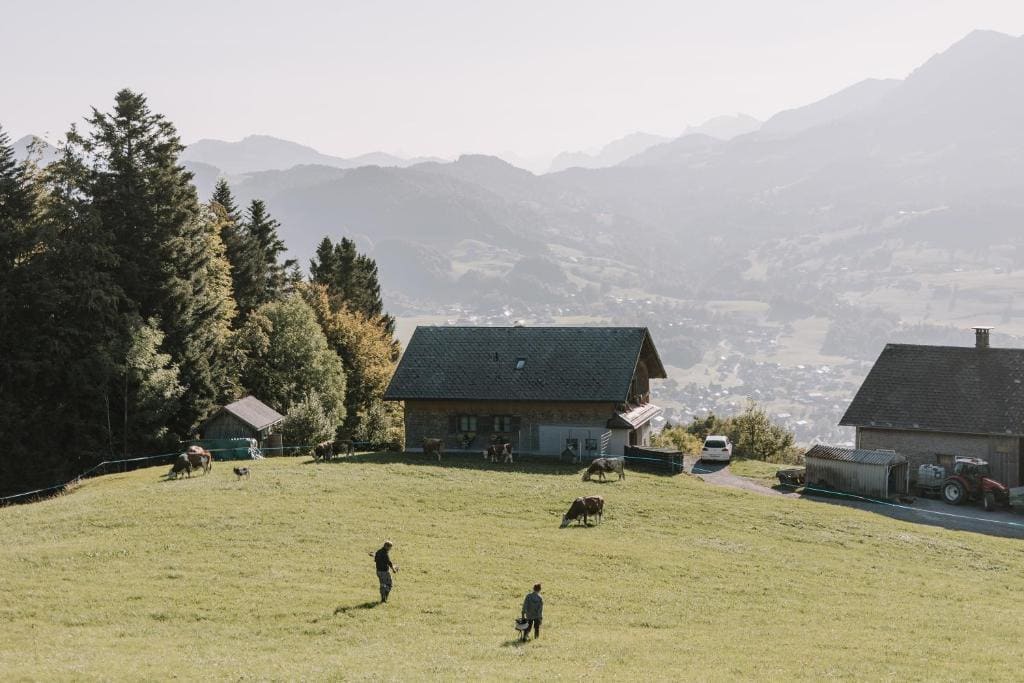 Haus Alpenrose - View 4