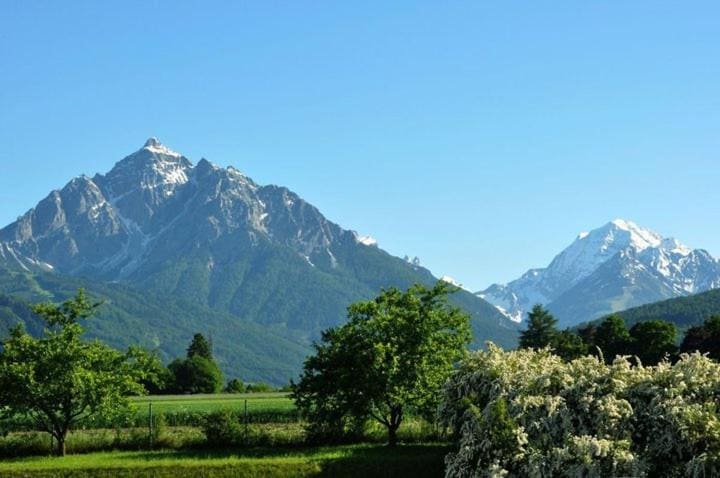 Haus Angelika - bed & breakfast - Innsbruck/Igls - Main view