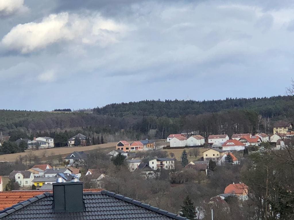 Haus Camelia - View 3