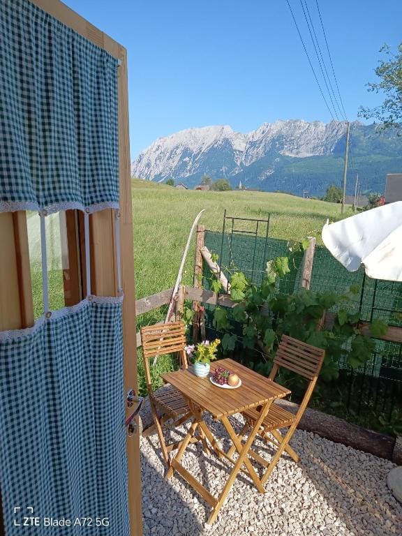 k&k Residenz - "Circus Touristicus" - View 4