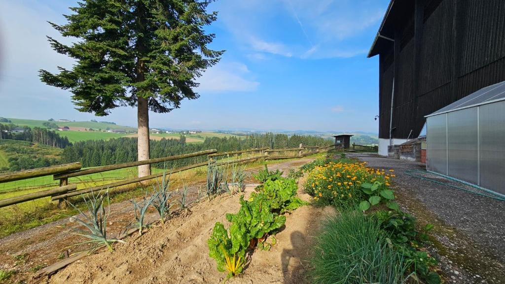 Room in a Farm Residence Austria - Shared bathroom - View 4