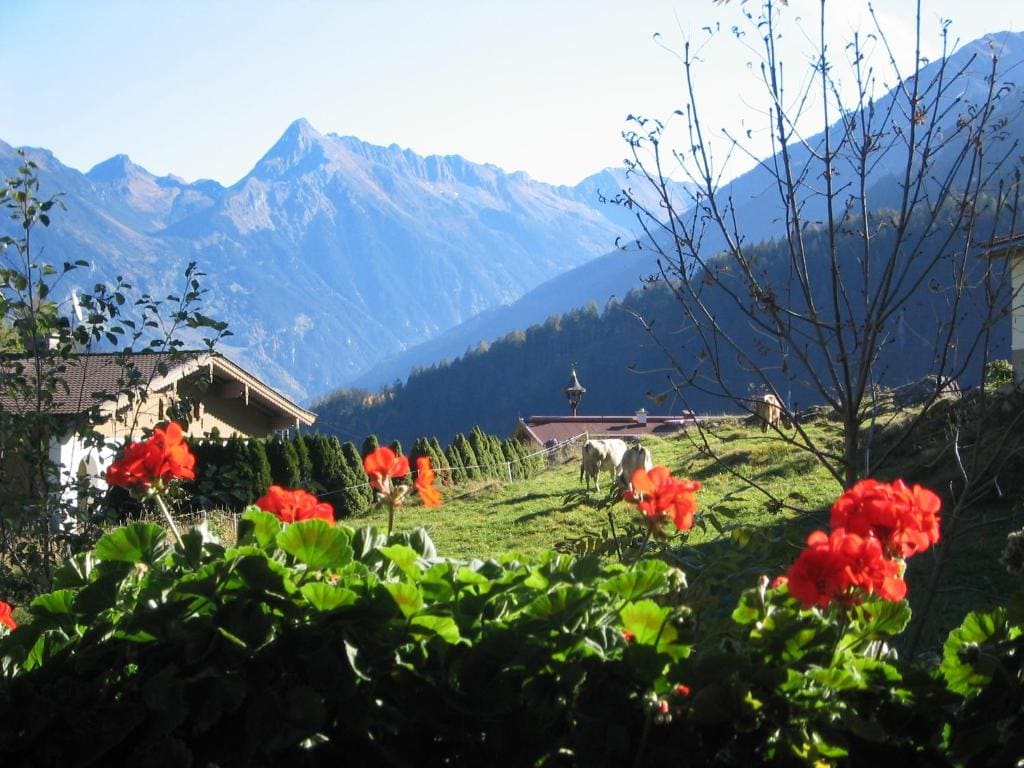 Pension Glockenstuhl - View 6