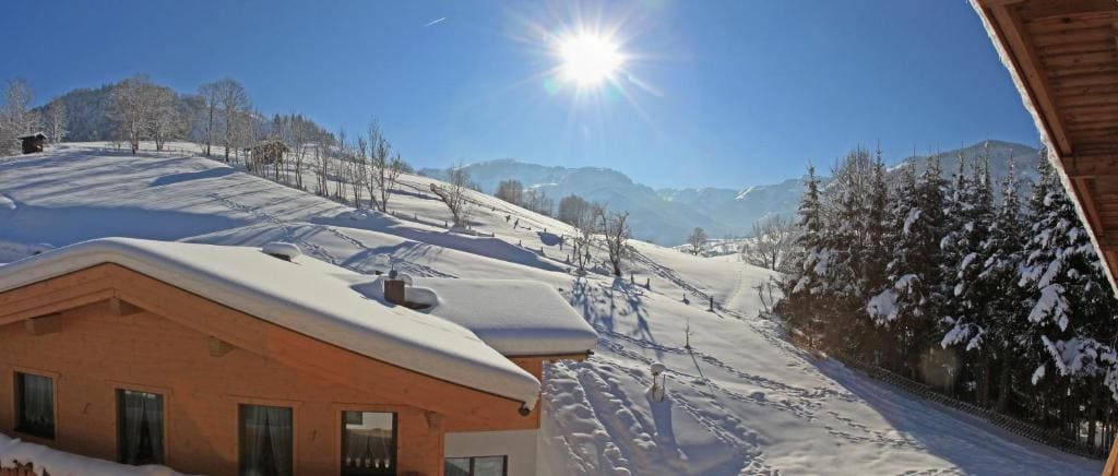Pension Pinzgauer Hof - View 7
