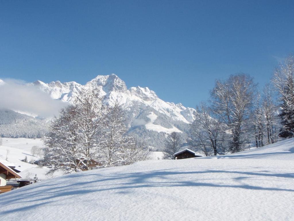 Pension Pinzgauer Hof - View 3