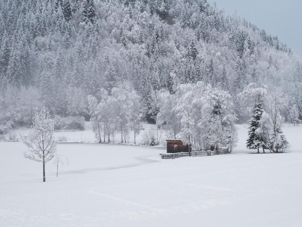 Hotel Seeblick - Main view