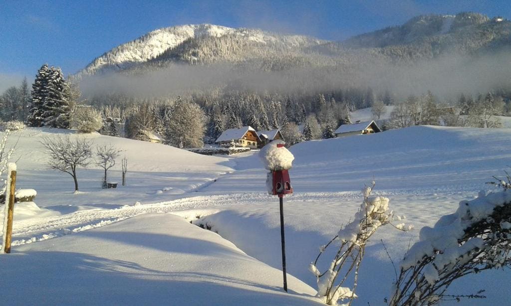 Wagnerhof - View 4