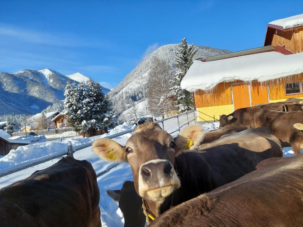 Wagnerhof - View 6