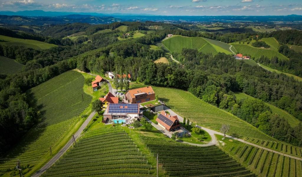 Weingut-Wohlfühlzimmer Adam-Lieleg - View 4