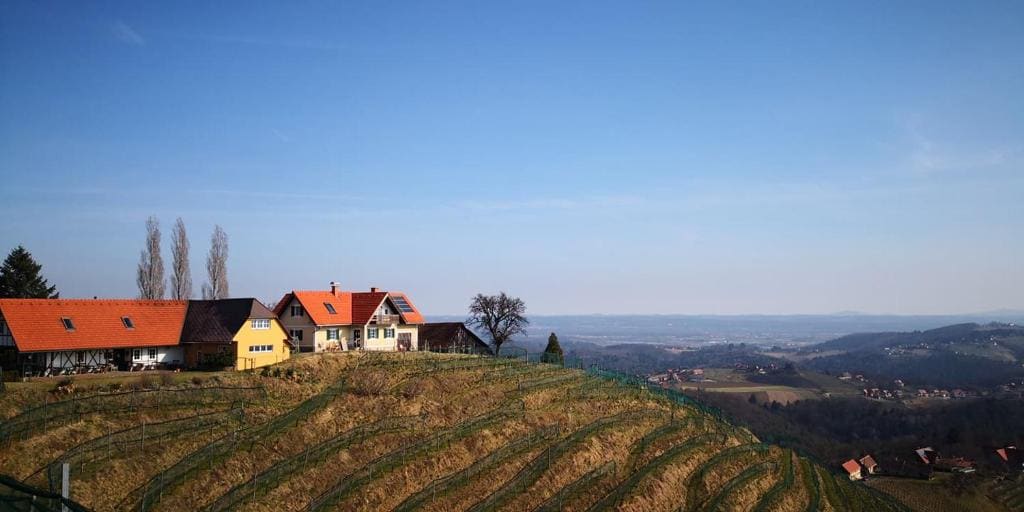 Weingut Albert, Familie Cramer - View 7