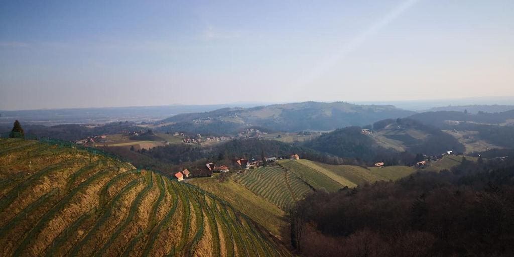 Weingut Albert, Familie Cramer - Main view
