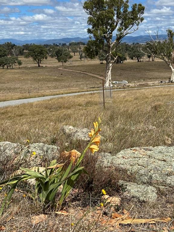 Self-contained tiny home on acreage - 16 Belleview Dr - Vista 3