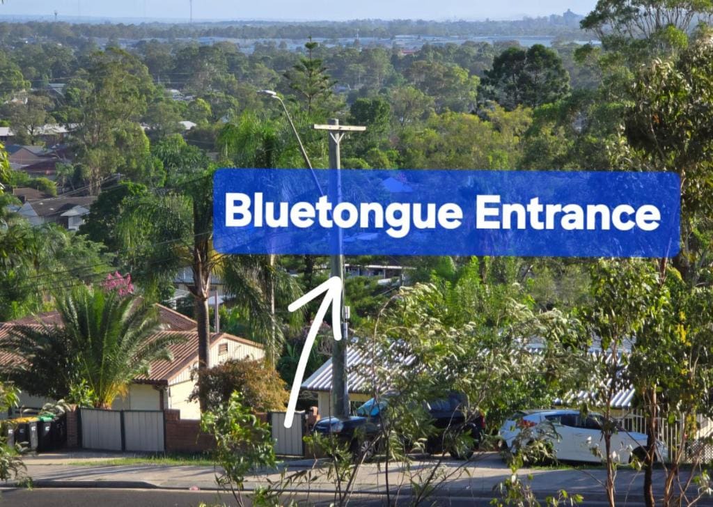 Bluetongue Hideout - View 2