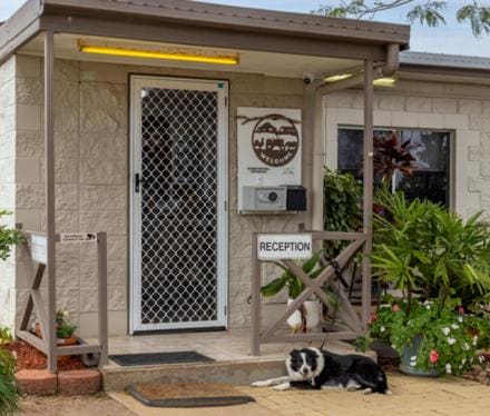 Hillview Motel Charters Towers QLD - View 4