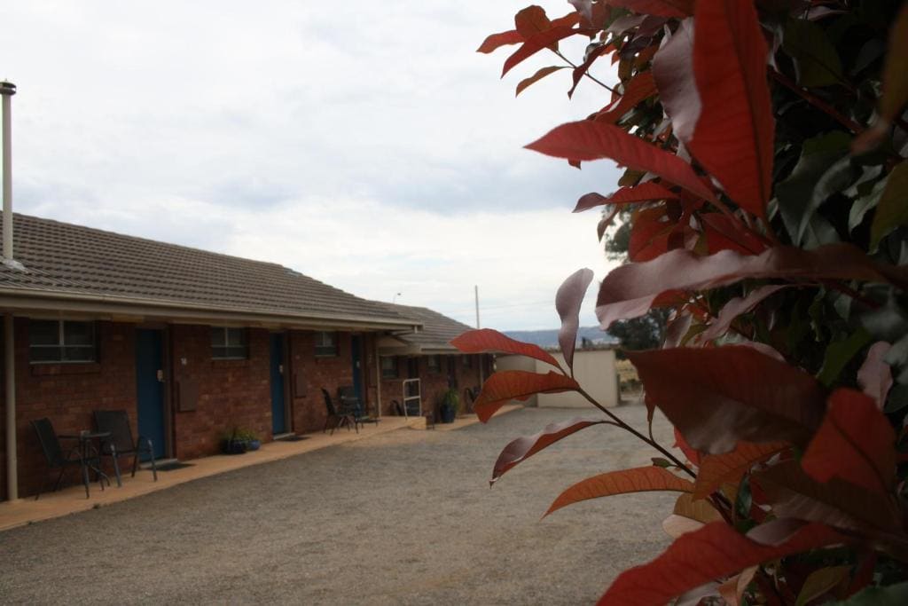 Isis Motel Scone - Main view