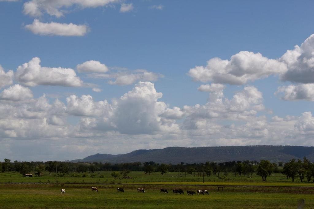 Isis Motel Scone - View 6
