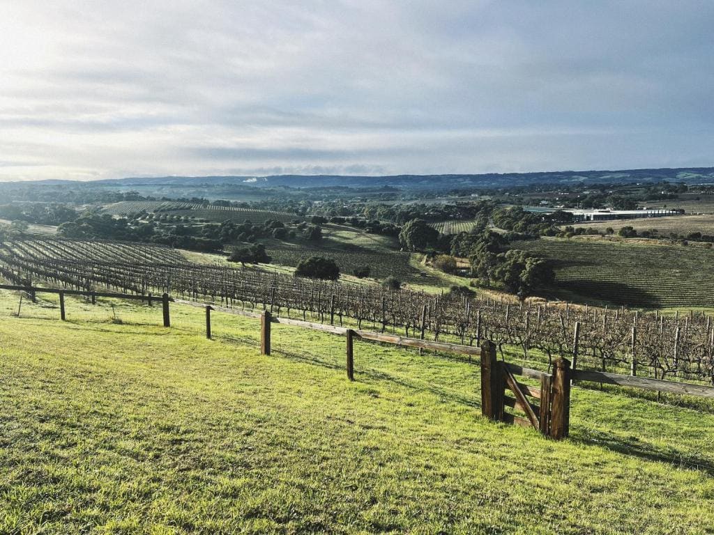 Kingsgate Farm-Stay - View 2
