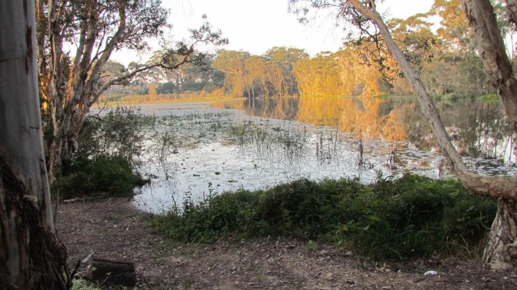 Lake Russell Retreat - View 6