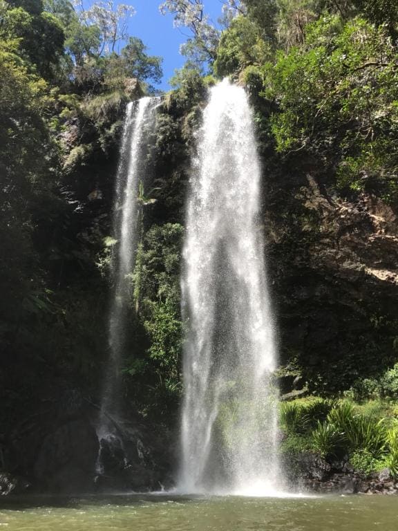 Purling Brook Falls Gwongorella - View 4