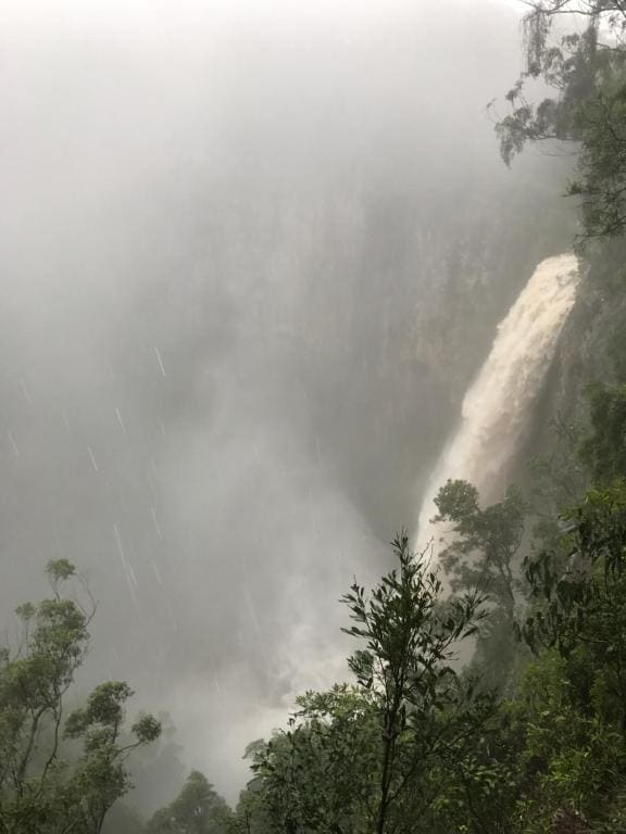 Purling Brook Falls Gwongorella - View 5