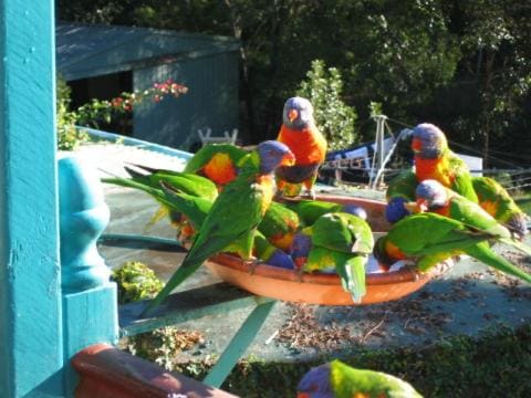 Riviera Bed & Breakfast - View 5