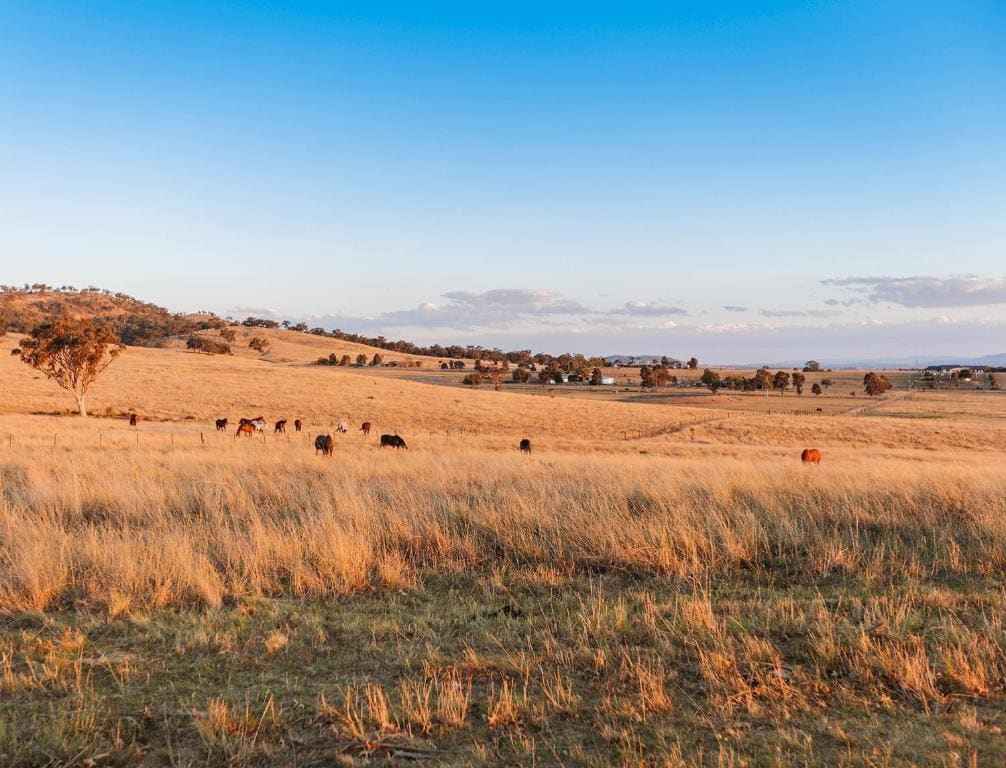 Strathearn Park Lodge - View 6