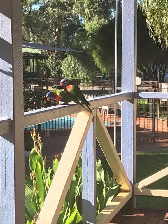 Tambo Mill Motel & Caravan Park - View 6