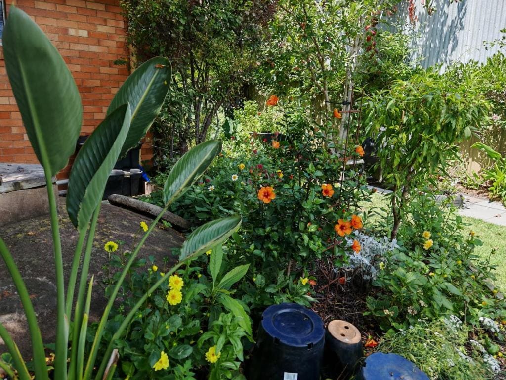 The Bank Guesthouse Glen Innes - View 5