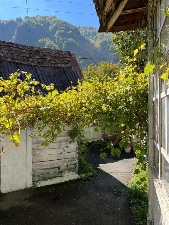 Guesthouse Ilisu - Tampilan 7