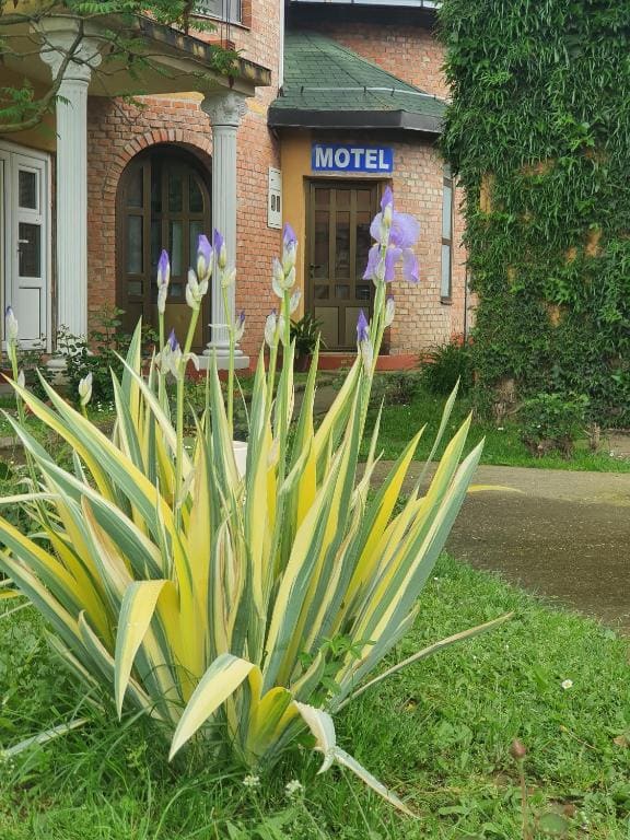 Motel Zoka - Main view