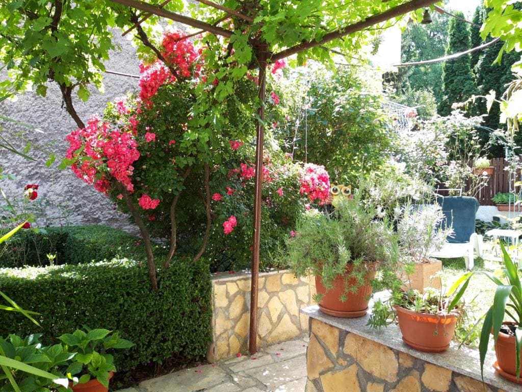 Modern&Cozy Bosnian house with GARDEN+FREE parking - Main view